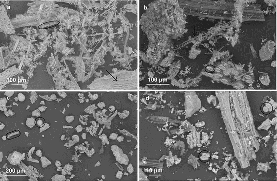 silica particles, silica assessment