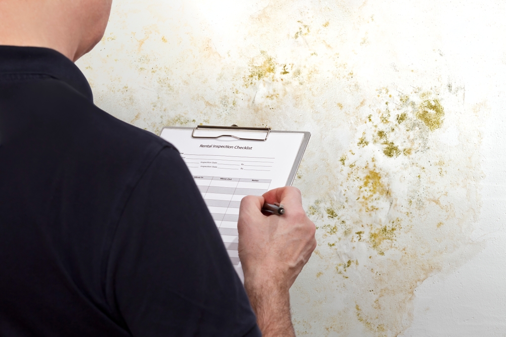 Asbestos and Mold Management